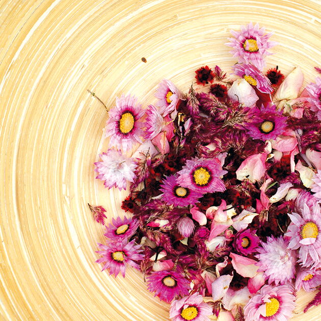 Blütenzauber auf Weissenhaus