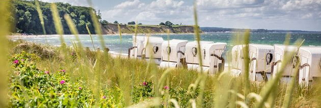 Strandkorb auf Weissenhaus