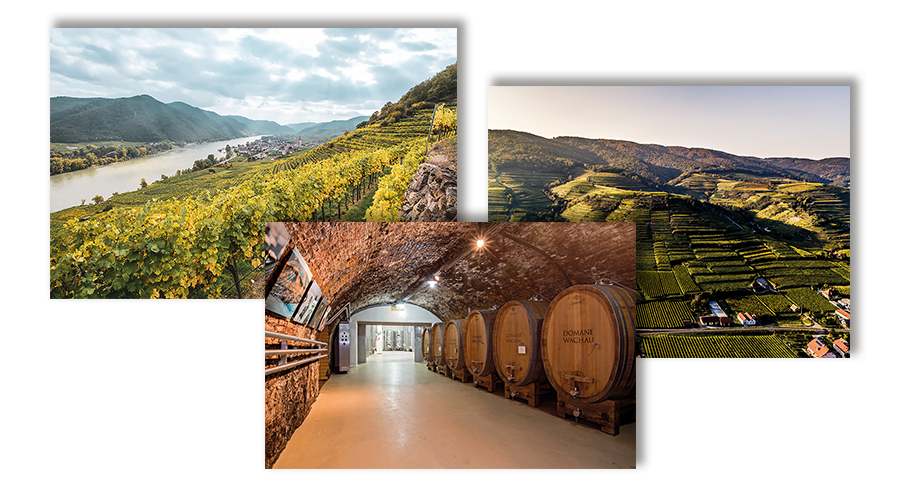 Impressionen Weingut Domäne Wachau