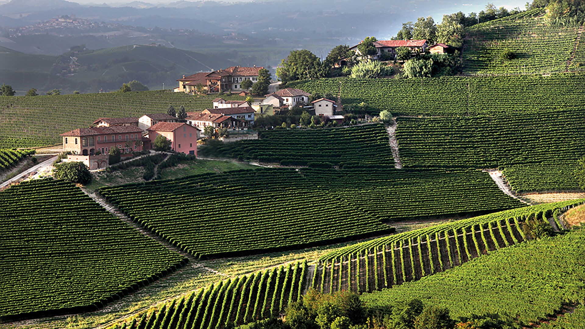 Landschaft Weinanbaugeboet Piemont
