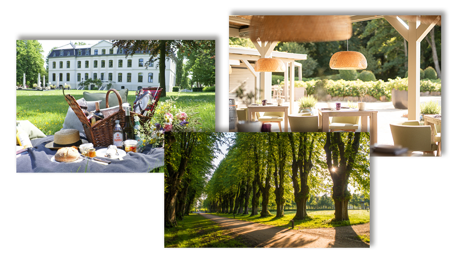 Impressionen Sommer auf Weissenhaus